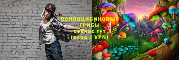 гидра Абинск
