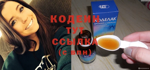 крисы Нижний Тагил