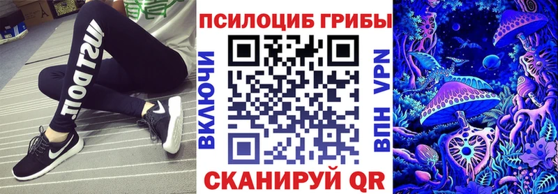 Галлюциногенные грибы Psilocybine cubensis  наркота  omg вход  Александров 