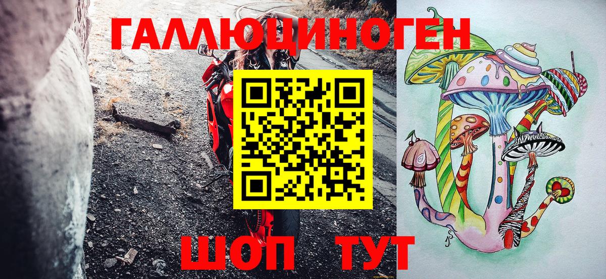 Александров  Псилоцибиновые грибы Cubensis  Вход с VPN  Псилоцибиновые грибы Psilocybine cubensis 