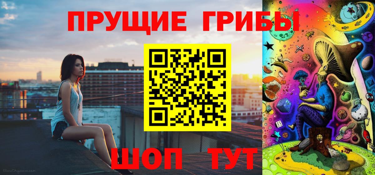 Галлюциногенные грибы Psilocybine cubensis Александров