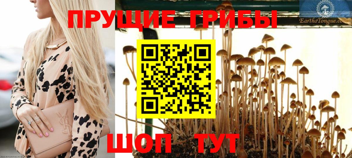 ГАШИШ  MDMA  Александров  Меф   Вход с VPN  Альфа ПВП СК   Экстази  АМФЕТАМИН   COCAIN 